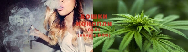 стафф Волосово