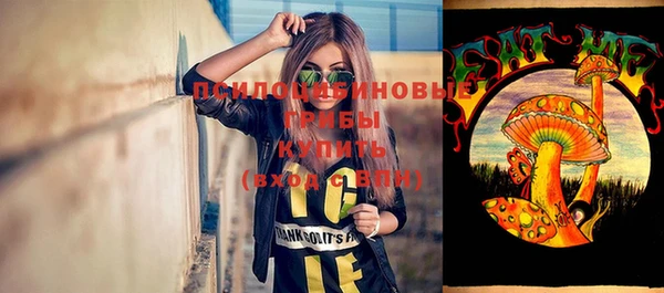 стафф Волосово